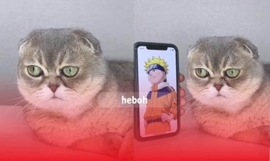 Bikin Gemesh! Kucing Ini Cosplay Menjadi Karakter Kartun