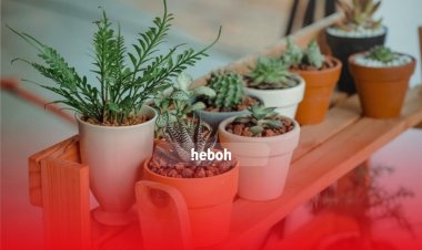 Jenis Tanaman Hias untuk Mempercantik Ruang Kerja