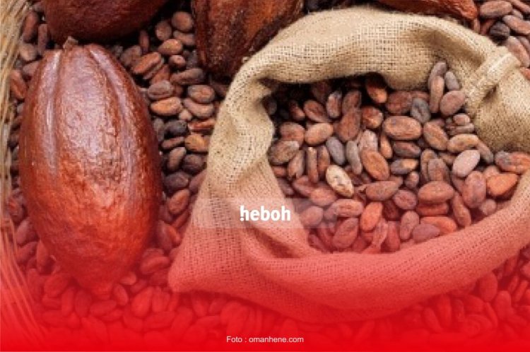 Manfaat Olahan Buah Coklat (Kakao) Untuk Kesehatan Tubuh!