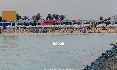 Pure Beach, Pantai di Arab Saudi yang Bebaskan Wanita Berbikini