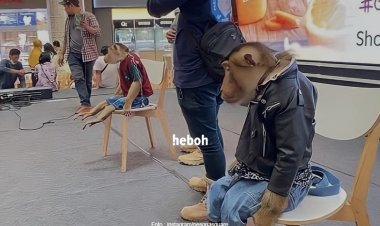 Pesona Square Depok Dikecam Usai Kegiatan Mal yang Dianggap Animal Abuse