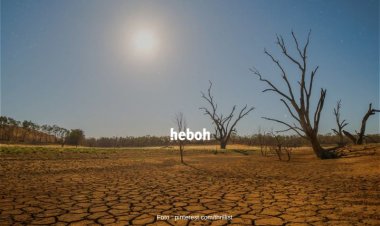 Suhu Tahun 2023 Diprediksi Bakal Lebih Panas, Kekeringan Bakal Sering Terjadi