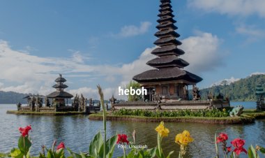 Puluhan Turis Mancanegara di Bali Ajukan Petisi Soal Suara Kokok Ayam yang Mengganggu