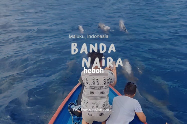 Indahnya Sekelompok Lumba-lumba di Lautan Banda Neira Sapa Pengunjung