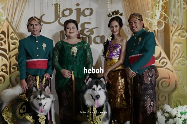 Viral! Gelar Pernikahan Anjing di PIK, Habiskan Biaya 200 Juta hingga Diliput Stasiun Televisi