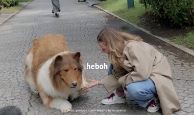 Pria Asal Jepang yang Habiskan Ratusan Juta Demi Jadi Seekor Anjing, Pertama Kali Muncul ke Publik