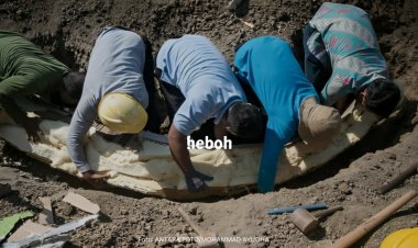 Penemu Fosil Gading Gajah Purba 800 Ribu Tahun di Sragen Diberi Imbalan Rp 1 Juta