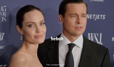 Usai 7 Tahun Konflik, Angelina Jolie dan Brad Pitt Resmi Bercerai!