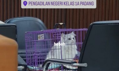 Flo, Kucing yang Dicekoki Miras Hadir Dipersidangan, 3 Wanita Divonis 2 Bulan Penjara
