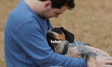 Ribuan Orang Mengaku Sebagai Anjing di Jerman, Berkumpul Menggongong Satu Sama Lain