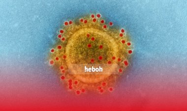 Update Virus Corona Indonesia 22 April 2020