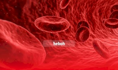 Benarkah Terapi Plasma Darah bisa menyembuhkan Covid-19?