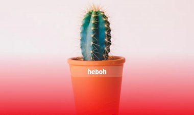 Kaktus Indoor yang Bisa Bikin Kamarmu Lebih Kece