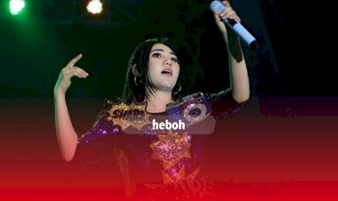 Fakta Orang yang Diduga Bakar Mobil Mewah Via Vallen